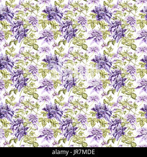 Aquarell Illustrationen von Clematic. Florale nahtlose Muster Stockfoto