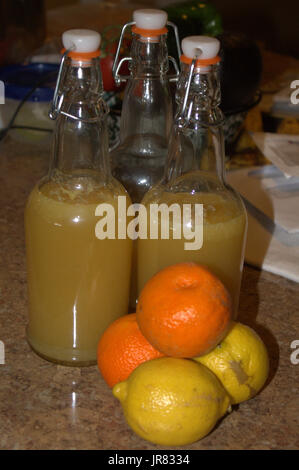 Wasser Kefir in Flaschen mit Flip-Top umgeben von Orangen und Zitronen. Stockfoto