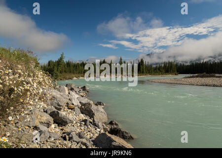 Gletscherwasser, das in den Fluss. Stockfoto