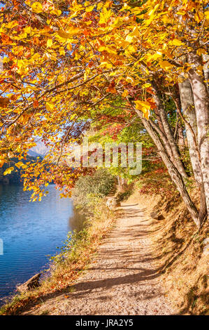 Weg am See unter einem Baldachin von lebendigen Herbst Blätter im Vogel State Park in den Blue Ridge Mountains von North Georgia. (USA) Stockfoto