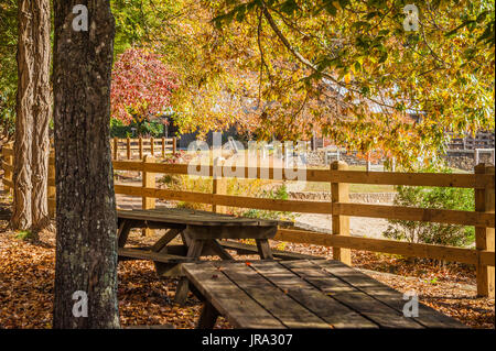 Schattigen Picknick-Tische mit Blick auf den Strand am See Trahlyta an einem schönen Herbstmorgen im Vogel State Park in der Nähe von Blairsville. (USA) Stockfoto