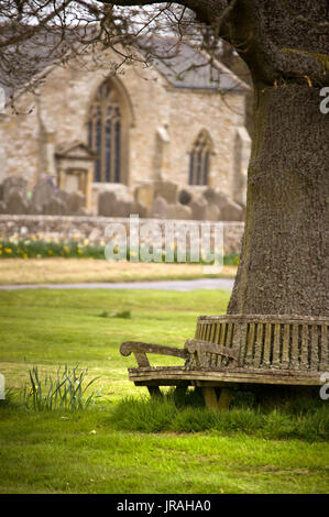 Baum Sitz, elsdon Dorf, Northumberland Stockfoto