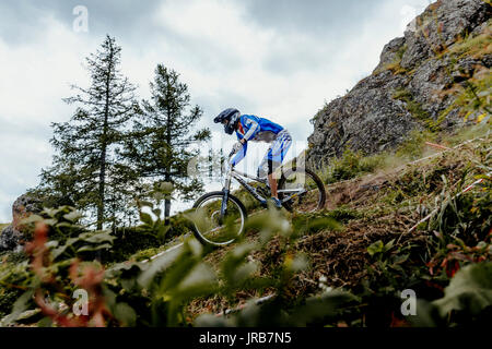 Mann Reiter auf dem Fahrrad Mountainbike Waldweg während der nationalen Meisterschaft Downhill Stockfoto