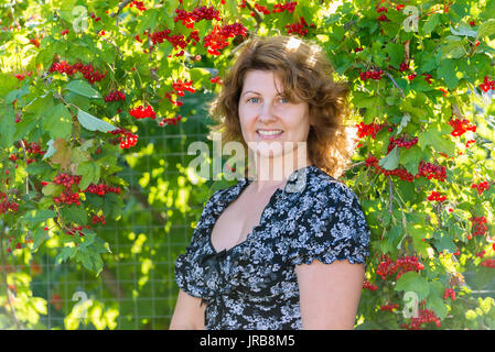 Ährchen Getreide vor dem Hintergrund eines Feldes Stockfoto