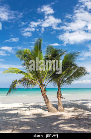 Palmen am tropischen Strand auf Koh Kood Insel in Thailand Stockfoto