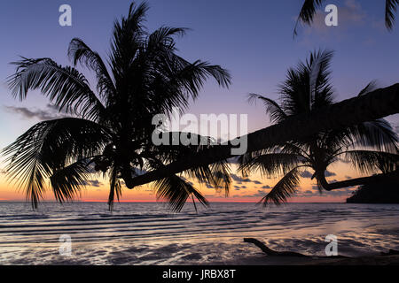 Palmen bei Sonnenuntergang auf einem wunderschönen tropischen Strand auf Koh Kood Insel in Thailand. Stockfoto