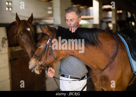 Mann mit braunen Pferd im Stall Stockfoto