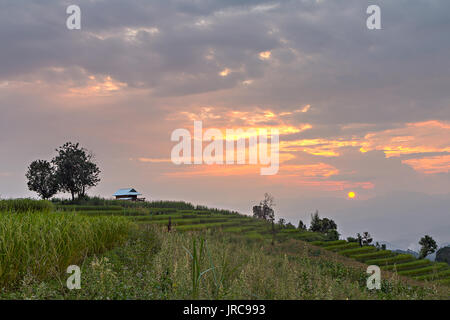Hütte auf der Terrasse von Reisfeldern in der Sonnenuntergang, HDR-Technik Stockfoto