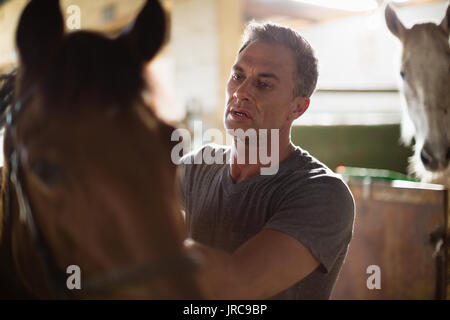 Reifer Mann streichelt das braune Pferd im Stall Stockfoto