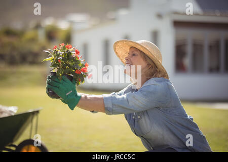 Lächelnd senior woman holding Bäumchen im Garten an einem sonnigen Tag Stockfoto