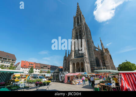 Markt vor dem Münster, Münsterplatz, Ulm, Baden-Württemberg, Deutschland Stockfoto