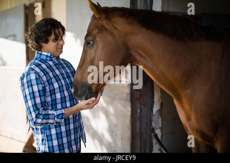 Lächelnd Mann streichelt das braune Pferd im Stall Stockfoto