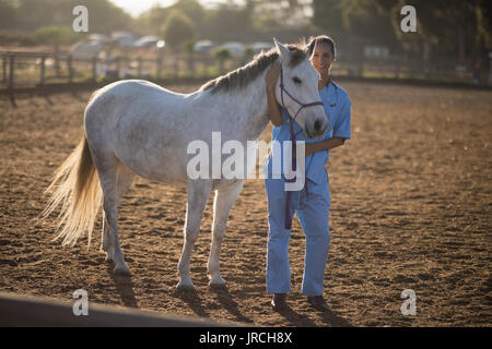 In voller Länge Porträt der Berufsbildung stehen mit dem Pferd im Paddock Stockfoto