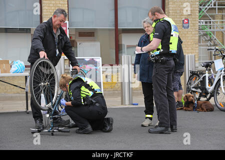 Ein Fahrrad Registrierung Veranstaltung in Cambridge, Großbritannien. Eine Polizistin Sicherheit ist ein Rad, während Details von einem Kollegen aufgezeichnet werden. Stockfoto