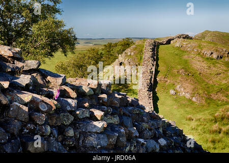 Blick nach Osten an walltown Crags am Hadrians Wall Stockfoto