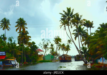 Schöne Kerala Backwaters Stockfoto