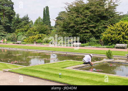 Gärtner auf dem Gelände des RHS Garden Wisley in Woking, Surrey, Großbritannien Stockfoto