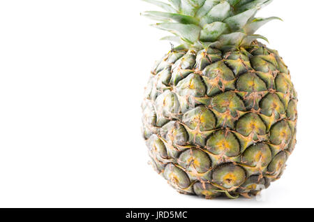 Geschlossen bis der frische Ananas auf weißem Hintergrund mit Kopie Platz für die Eingabe von Text isoliert Stockfoto