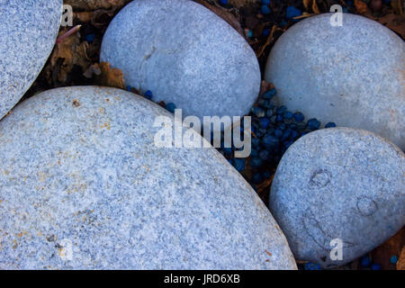 Steine. Schöne Dekoration graue und blaue Steine. Makro. Stockfoto
