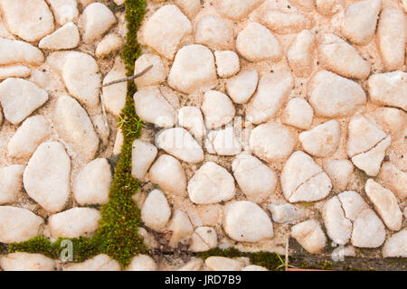 Moss. Schöne Steine mit Moos. Makro. Stockfoto