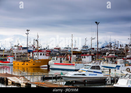 Husavik, Island - 29. März 2017: Traditionelle whale watching Boote im Hafen lagen von Husavik, nördliche Küste von Island Stockfoto