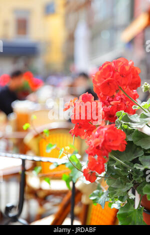 Offene Terrasse des Restaurants in Stockholm, Schweden. Konzentrieren Sie sich auf die Geranien Stockfoto