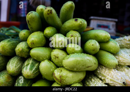 Natur Stockfoto