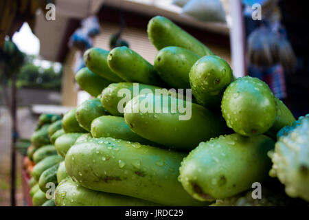 Natur Stockfoto