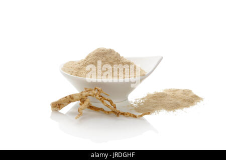 Ginseng Wurzel Pulver mit Ginseng Wurzel, auf weißem Hintergrund. Gesund medizinische Pflanze, Adaptogen, natürliches Heilmittel. Der koreanische Ginseng. Stockfoto