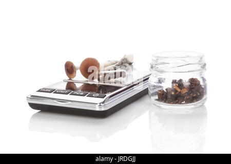 Frische Pilze, Kapseln auf digitale Waage, getrocknete Pilze im Glas, auf weißem Hintergrund. Alternative Medizin. Stockfoto