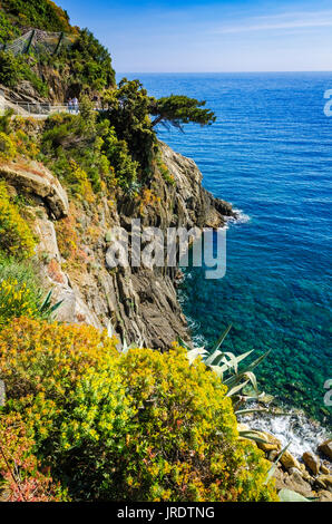 Felsige Küste entlang der Via dell'Amore (der Weg der Liebe), Riomaggiore, Cinque Terre, Ligurien, Italien Stockfoto