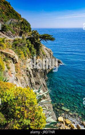 Felsige Küste entlang der Via dell'Amore (der Weg der Liebe), Riomaggiore, Cinque Terre, Ligurien, Italien Stockfoto