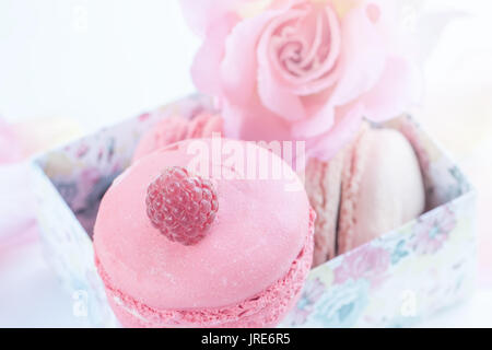 Macarons mit Himbeeren, Marshmallows auf dem Hintergrund der schönen Blumen Rosen. Nachtisch Nahaufnahme. Ein horizontaler Rahmen. Stockfoto