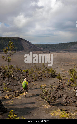 HI 00372-00 ... Hawai'I - Wanderer der Kilauea Iki Krater Kreuzung in Hawai'i Volcanoes National Park. (Herr #V2) Stockfoto