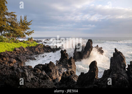 HI 00385-00 ... Hawai'I - felsige Küstenlinie bei laupahoehoe Point Park entlang der Hamakua Küste auf der Insel Hawai'i. Stockfoto