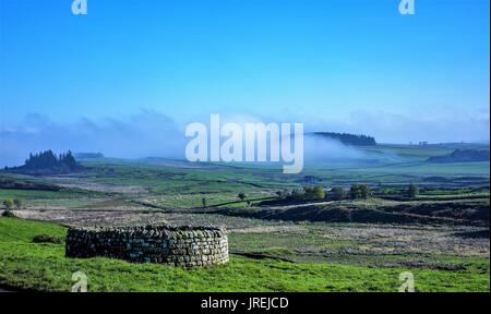 Housesteads Roman Fort auf Hadrian's Wall. Stockfoto