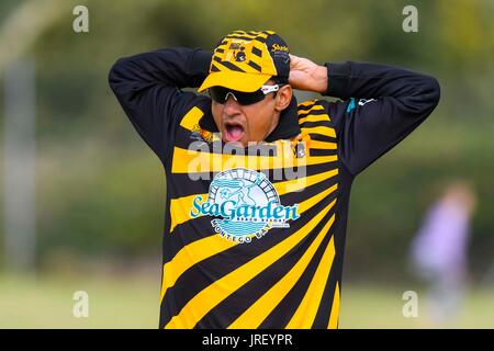 Easton, Portland, Dorset, UK.  4. August 2017.  Pakistan Melone Yasir Arafat während Portland roten Dreieck entsprechen V Zurrgurte All Stars auf dem Reforne Cricket Ground bei Easton in Dorset.  Bildnachweis: Graham Hunt/Alamy Live-Nachrichten Stockfoto