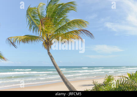 Spektakulärsten und eindrucksvollsten Paradiesstrand in Itacare Bahia Staat Brasilien Nordosten Stockfoto