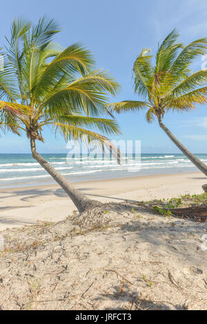 Spektakulärsten und eindrucksvollsten Paradiesstrand in Itacare Bahia Staat Brasilien Nordosten Stockfoto