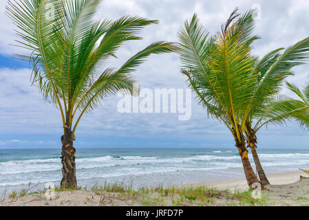 Spektakulärsten und eindrucksvollsten Paradiesstrand in Itacare Bahia Staat Brasilien Nordosten Stockfoto