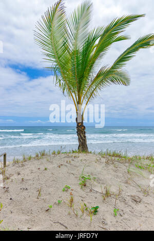 Spektakulärsten und eindrucksvollsten Paradiesstrand in Itacare Bahia Staat Brasilien Nordosten Stockfoto