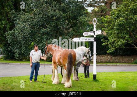 Paar Shire pferde stehen auf chawton Village Green durch eine altmodische Wegweiser nach Jane Austen's House, Hampshire, Südost England Stockfoto