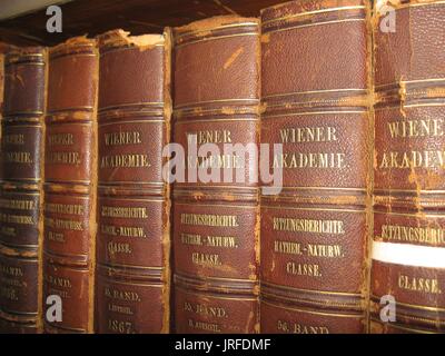 Mehrere verschlissen, Leder Bücher in einer Reihe auf einem Bücherregal in eine spezielle Sammlung Bibliothek verpflichtet, Schäden an der Leder Stacheln sichtbar, gold Schriftzüge auf jedes Buch in Deutsch, 1900. Stockfoto