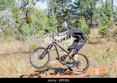 Ein Mountainbike Racer Landung aus einem springen. Mount Borah NSW Australien. Stockfoto