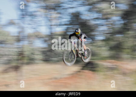 Mountainbike Racer über einen Felsen am Mount Borah NSW Australien springen. Stockfoto