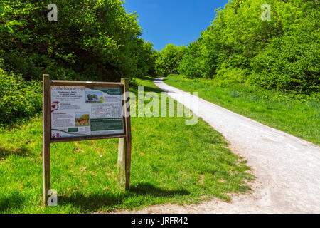 Information Board neben dem Fußweg zu Cothelstone Hill auf der Quantock Hills, Somerset, England, Großbritannien Stockfoto
