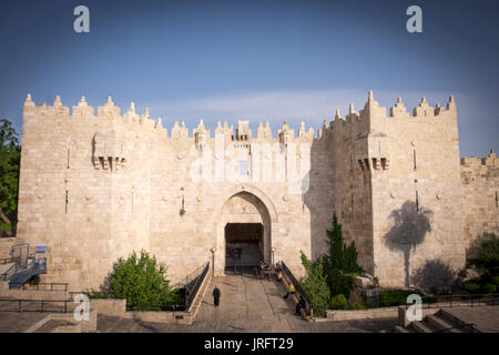 Am späten Nachmittag auf den Damascas Tor in Ostjerusalem mit einer Palme wieder an der Wand Stockfoto