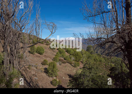 Bergige Landschaft von Parque Yerba Loca in einem Urstromtal in der Nähe von Santiago, Hauptstadt von Chile. Stockfoto