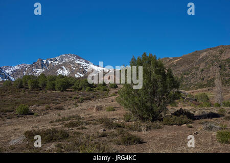 Bergige Landschaft von Parque Yerba Loca in einem Urstromtal in der Nähe von Santiago, Hauptstadt von Chile. Stockfoto