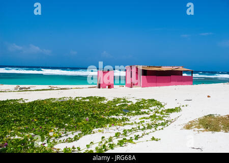 Aruba Rosa Beach Shack Boca Prins Stockfoto